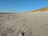 sand-Strand (3)
